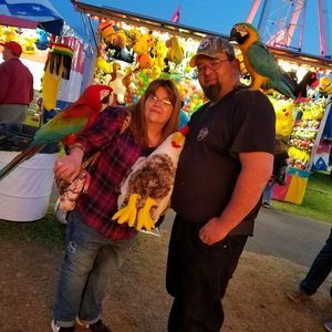 Meet your Posher, Colleen